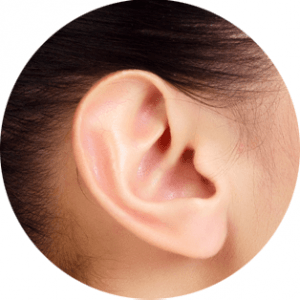 Chirurgie des oreilles décollées